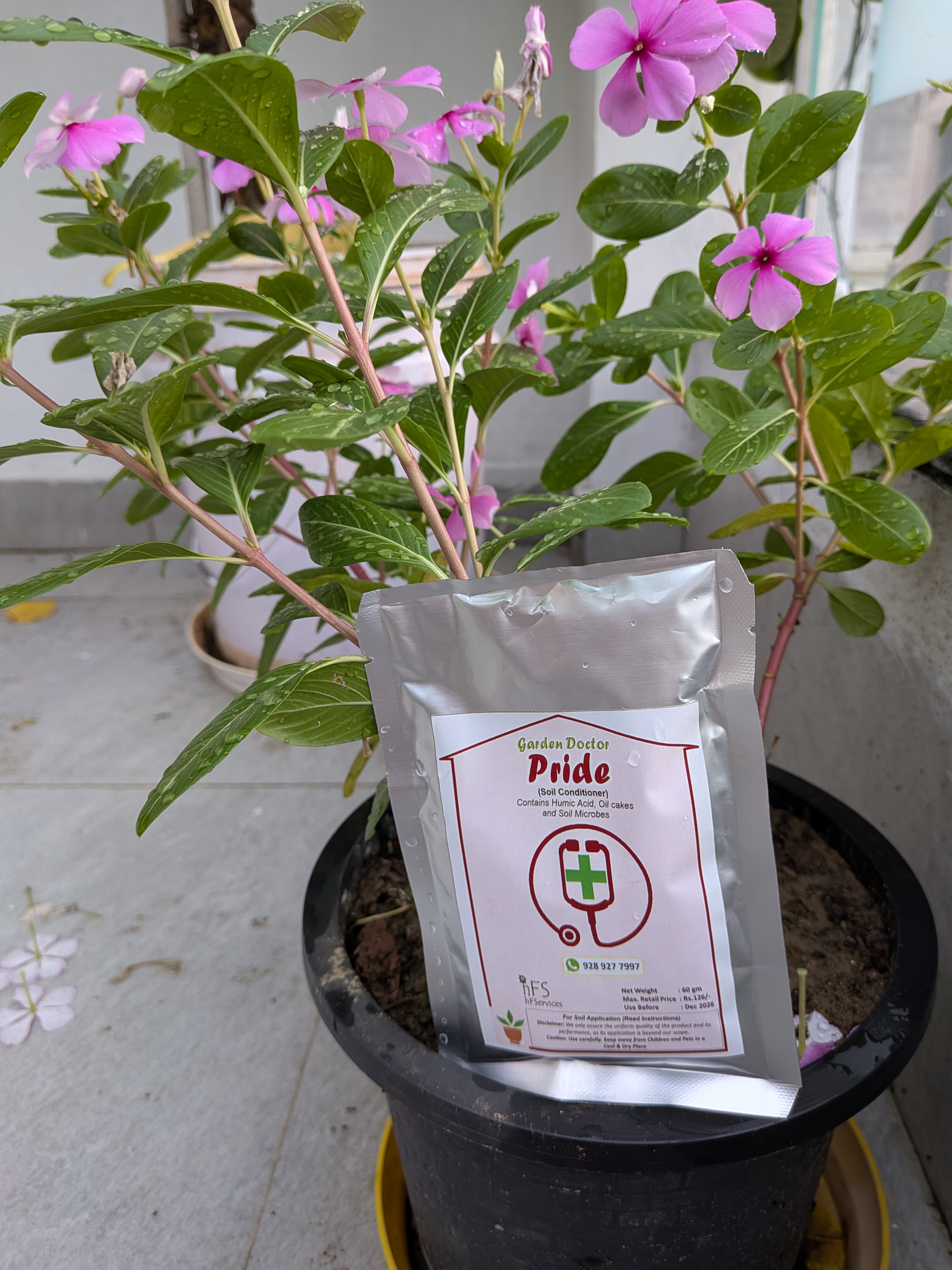PRIDE (60 gm) - Soil Conditioner (Pack of 2) Shipping free